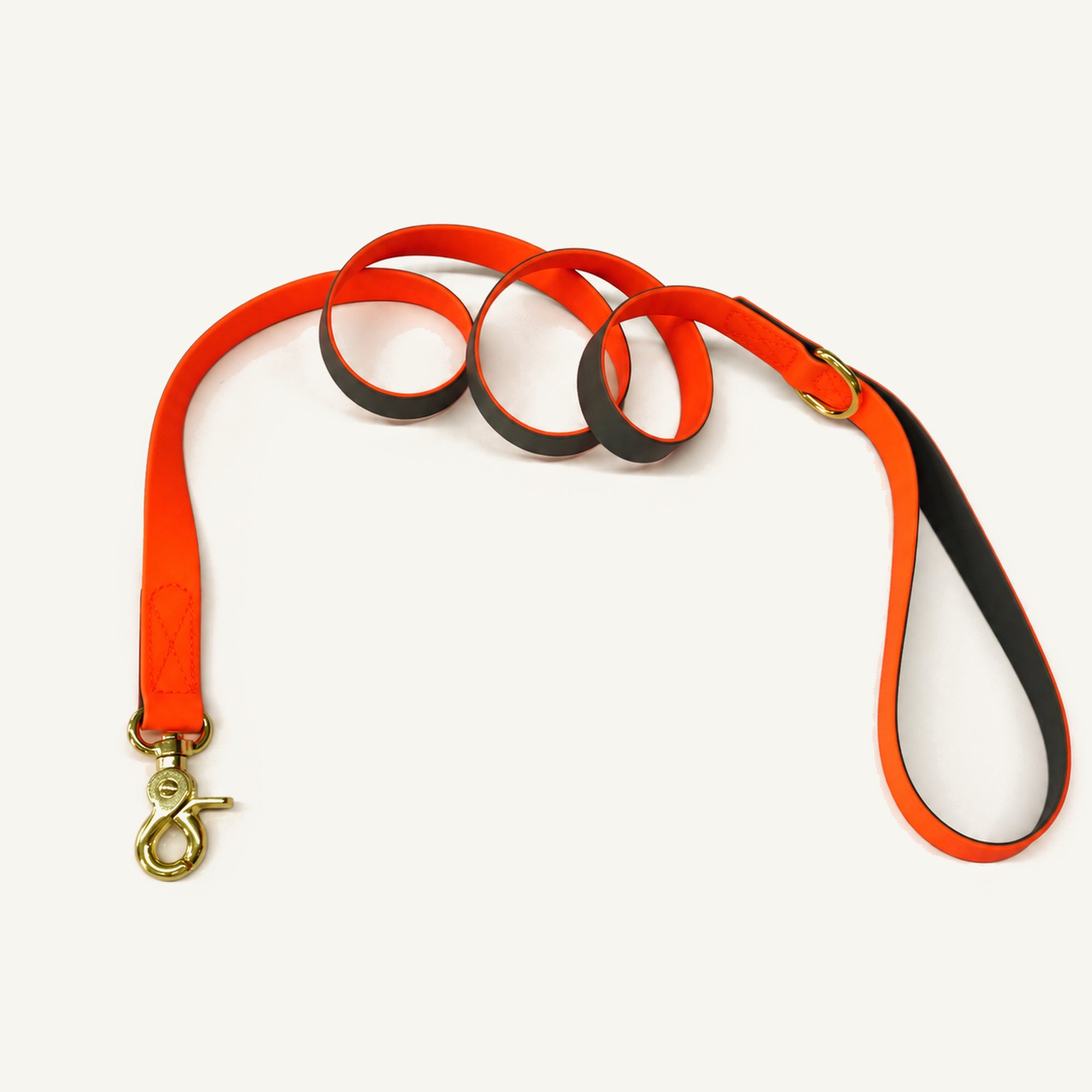 Orange Coated Webbing Dog Leash with D-Ring