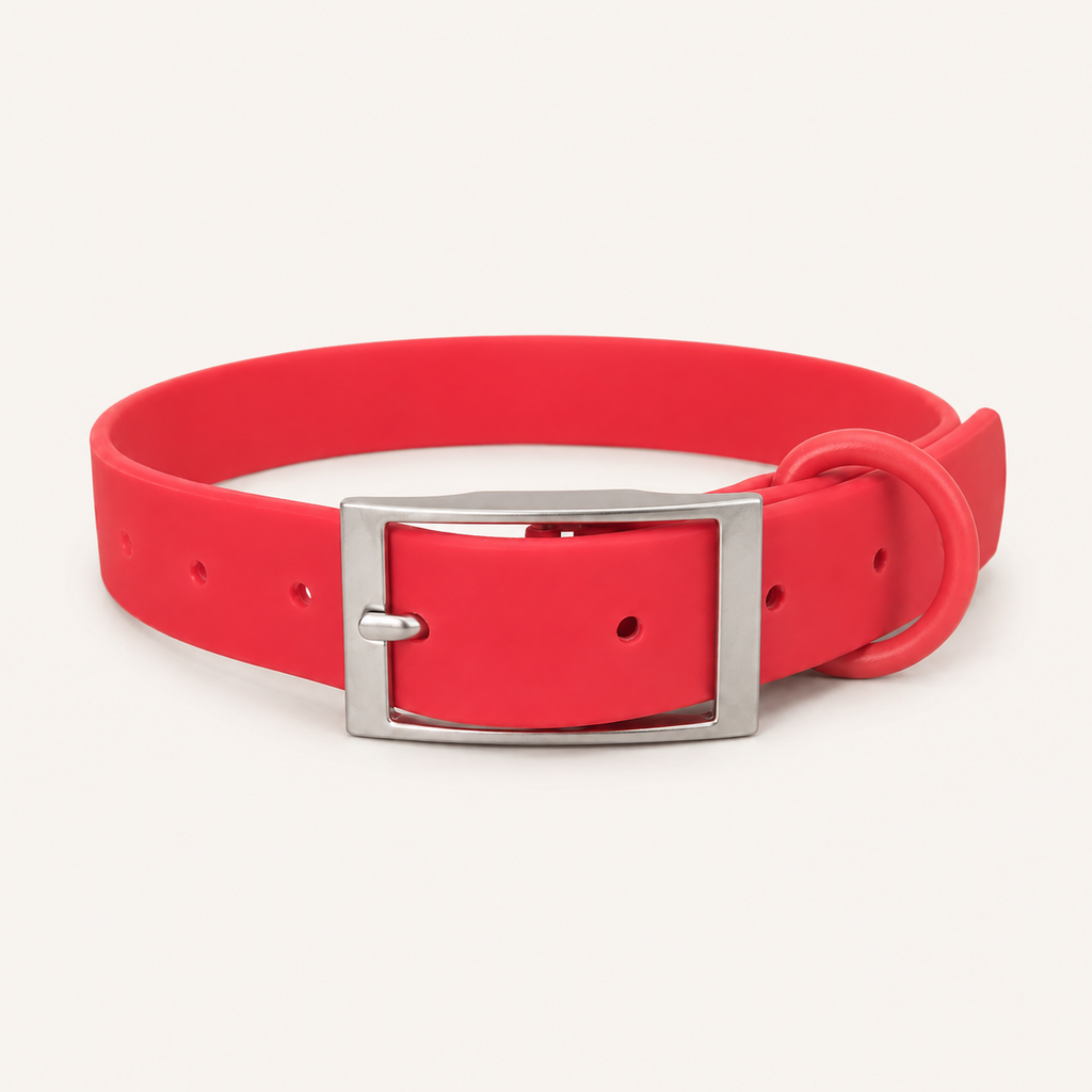 Coral PVC-Coated Dog Collar