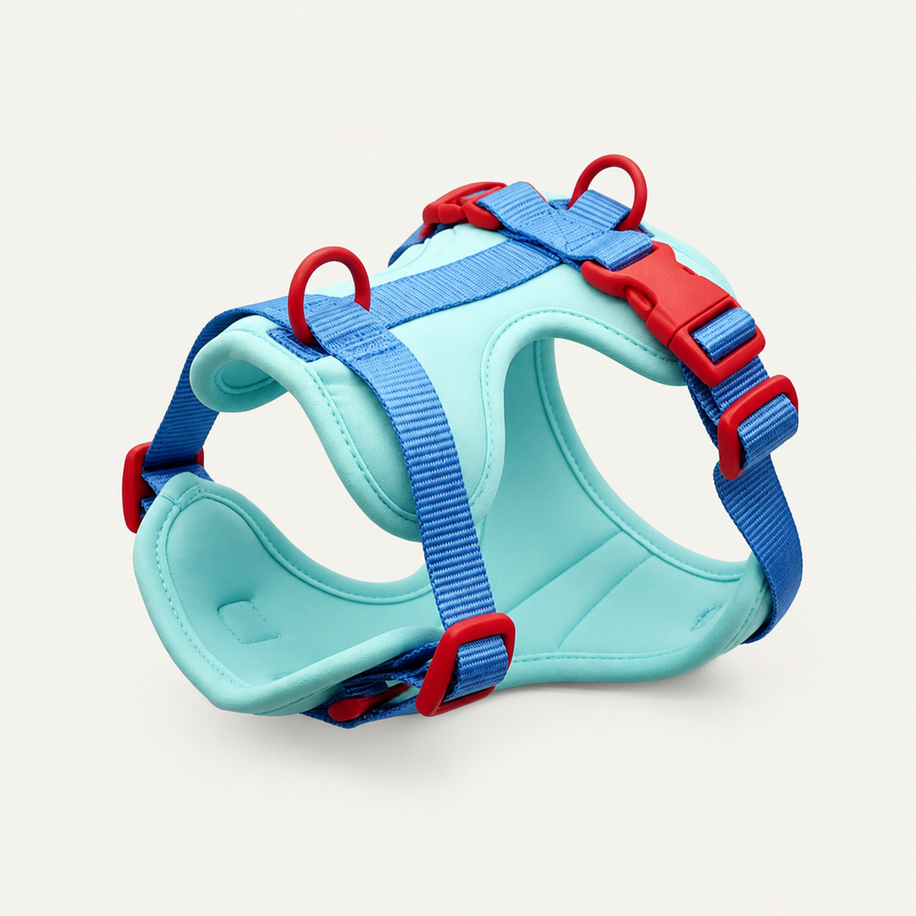 Aqua Contrast Dual-Attachment Dog Harness