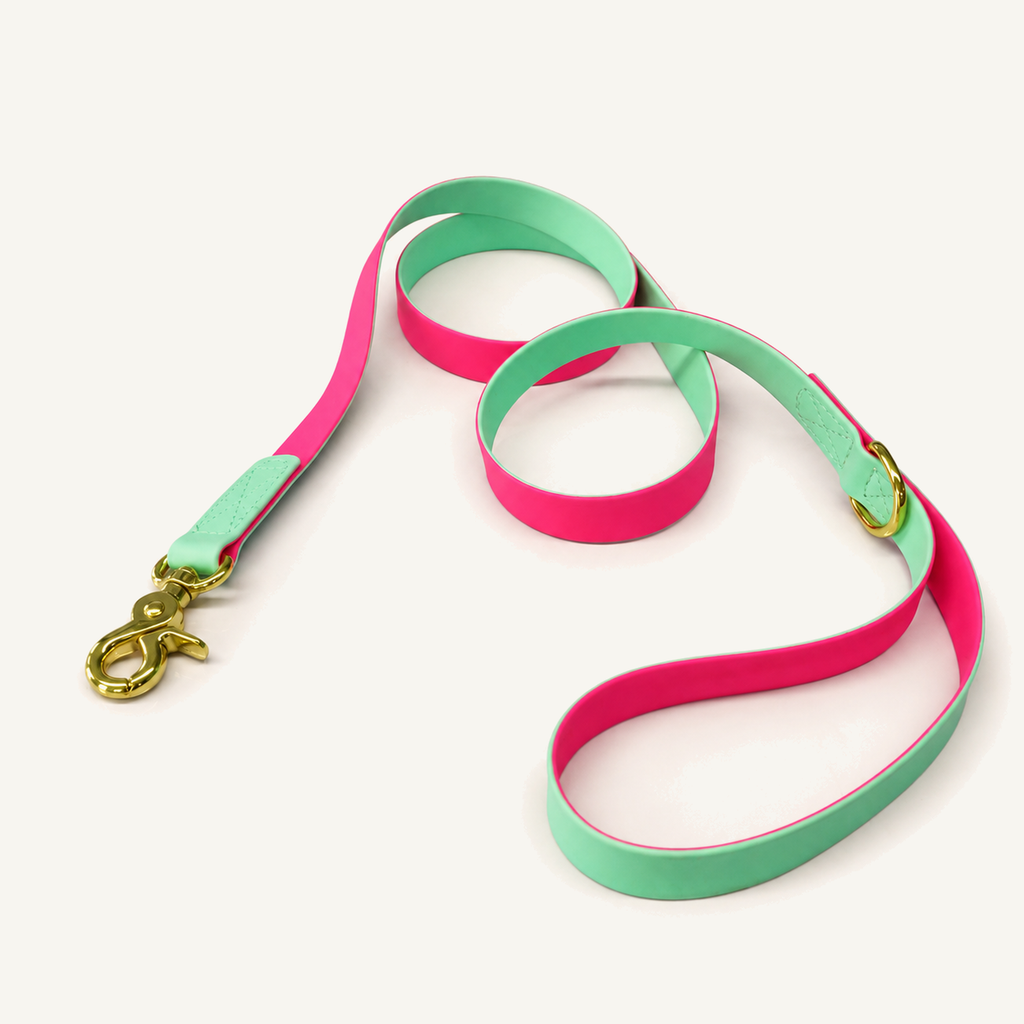 Two-Tone PVC-Coated Dog Leash with Gold-Tone Hardware