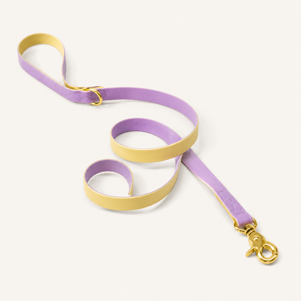 Two-Tone Waterproof PVC-Coated Dog Leash