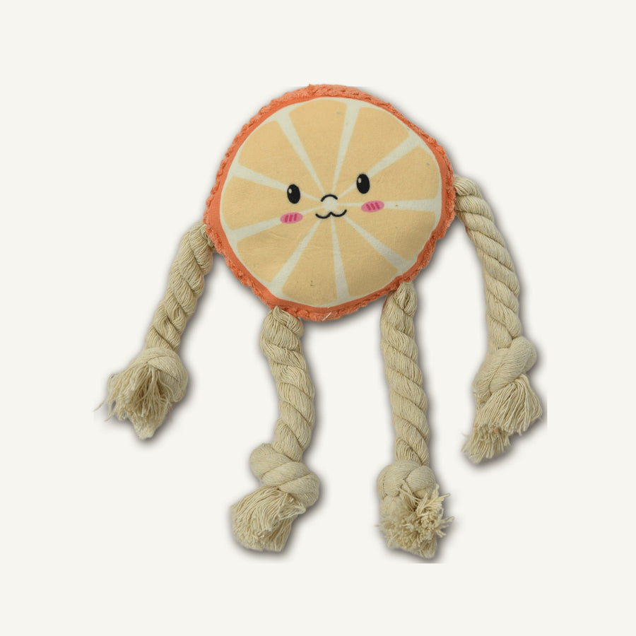 Plush Orange with Cotton Rope – GMR047 hero product view on warm neutral background for wholesale pet brands