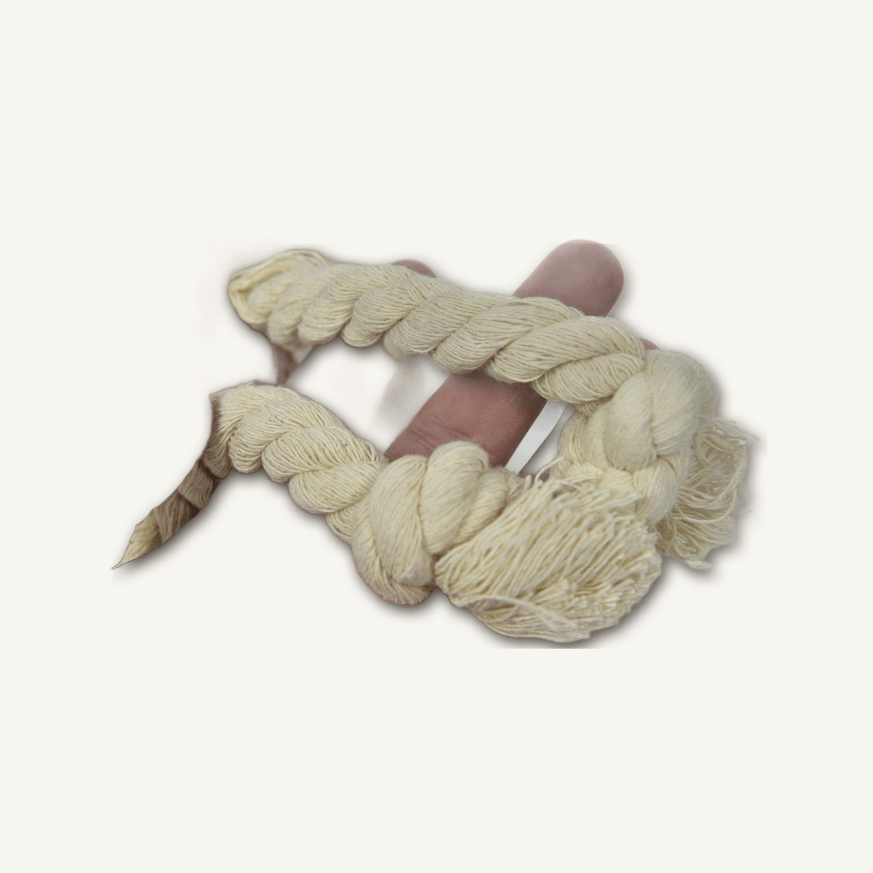 Plush Kiwi with Cotton Rope – GMR048 rear perspective view on warm neutral background for wholesale pet brands