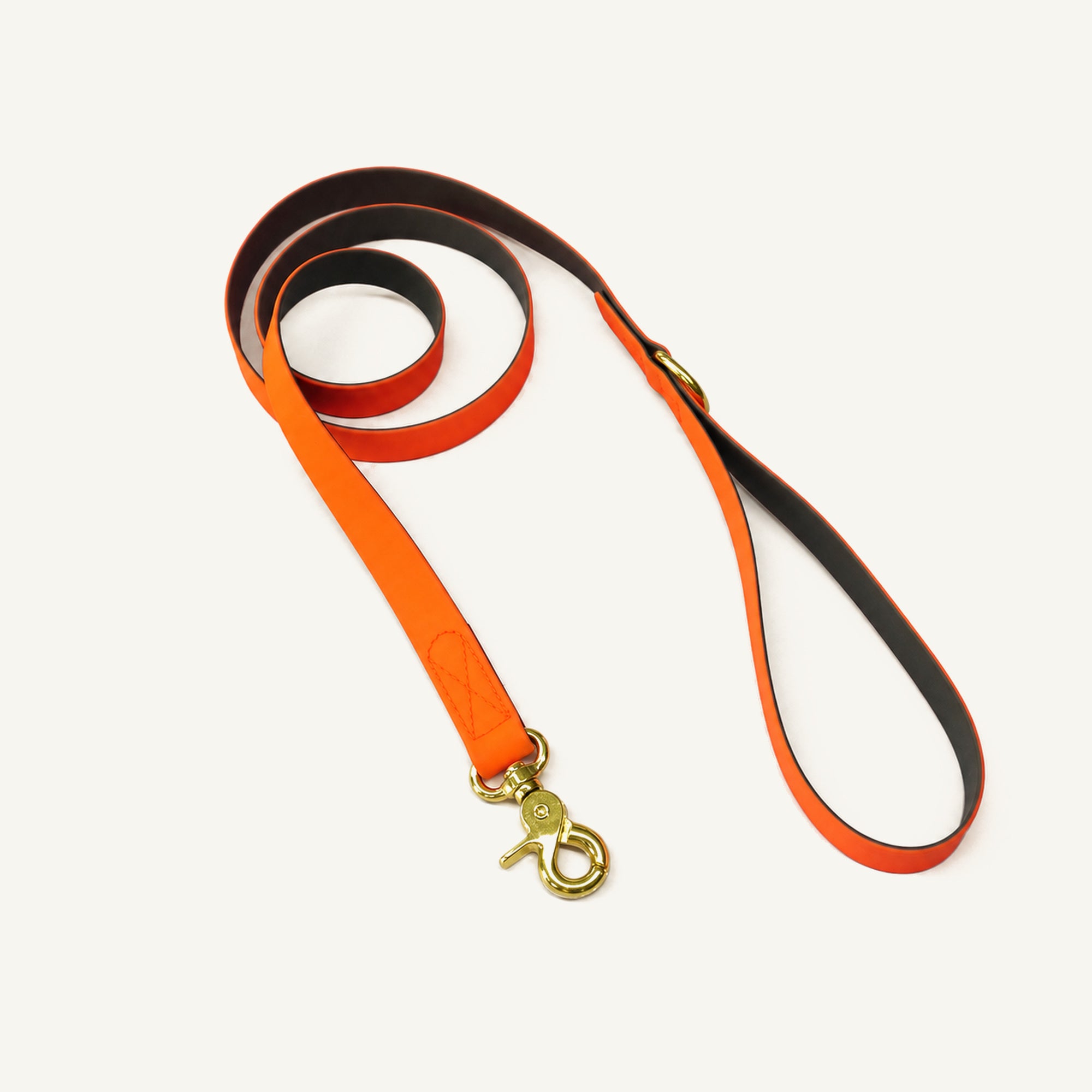 Orange Coated Webbing Dog Leash with D-Ring