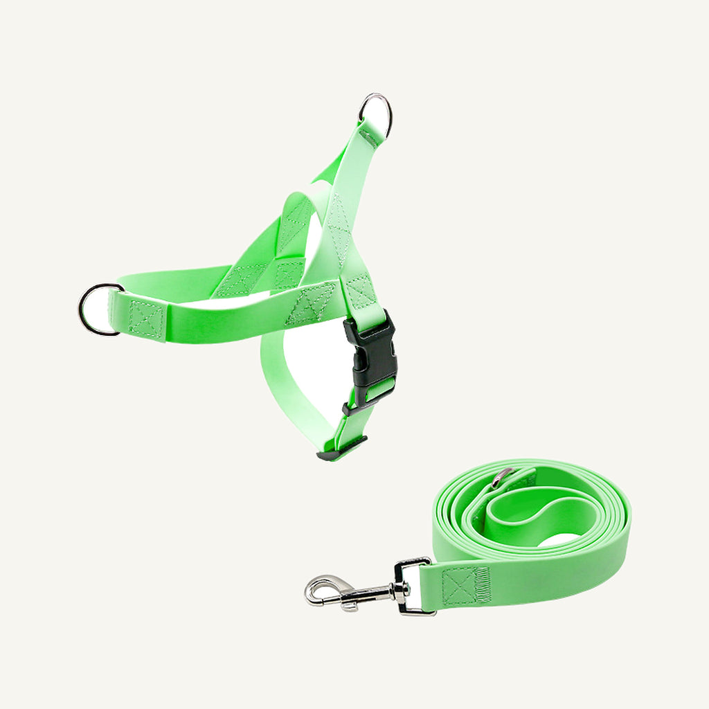 Green pvc strap dog harness and leash set catalogue view for private label buyers