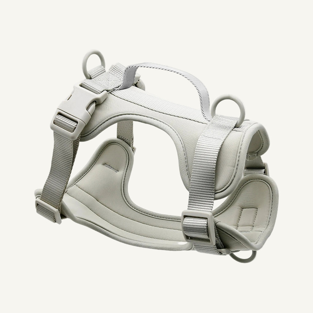 Grey padded no pull dog harness with control handle catalogue view for private label buyers
