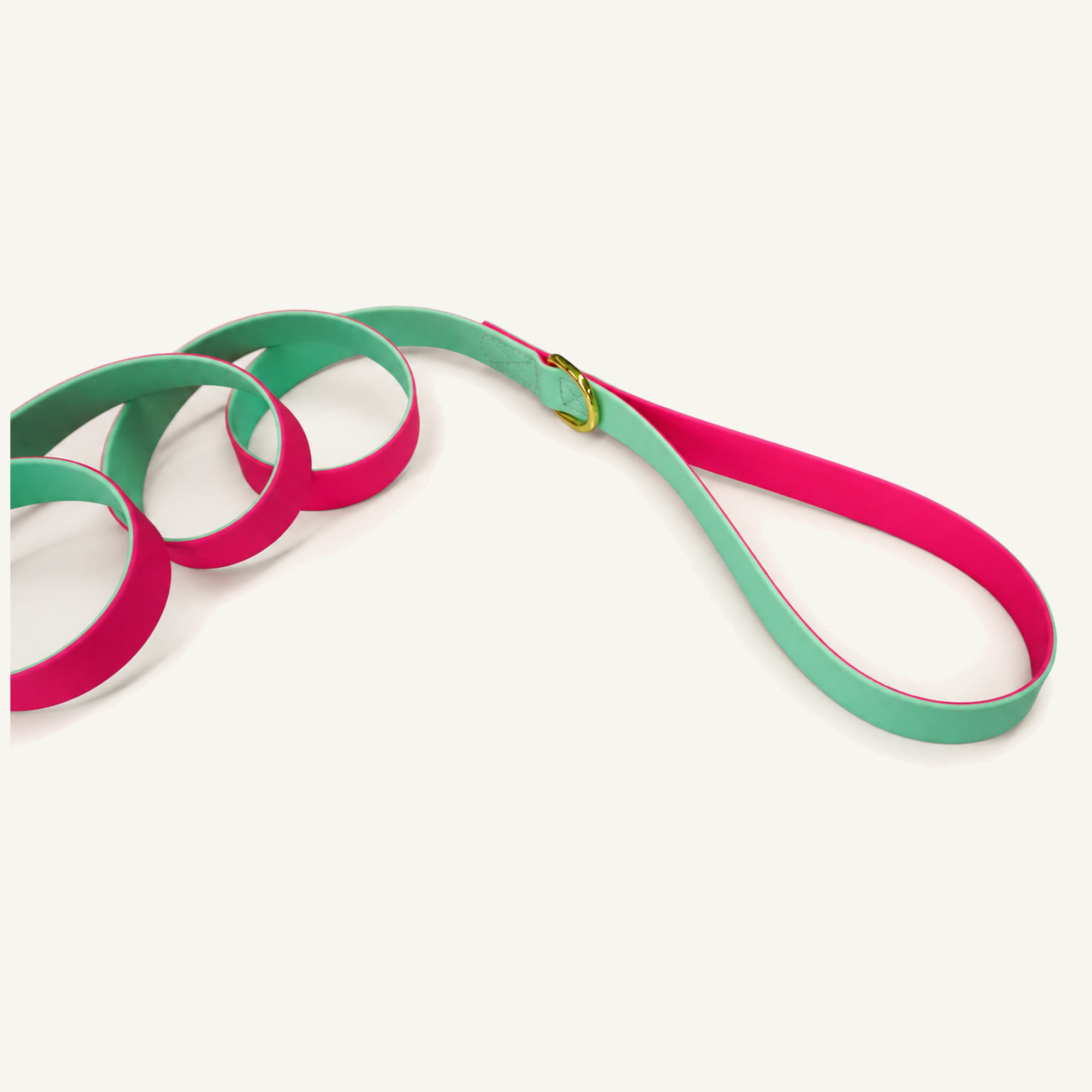 Two-Tone PVC-Coated Dog Leash with Gold-Tone Hardware