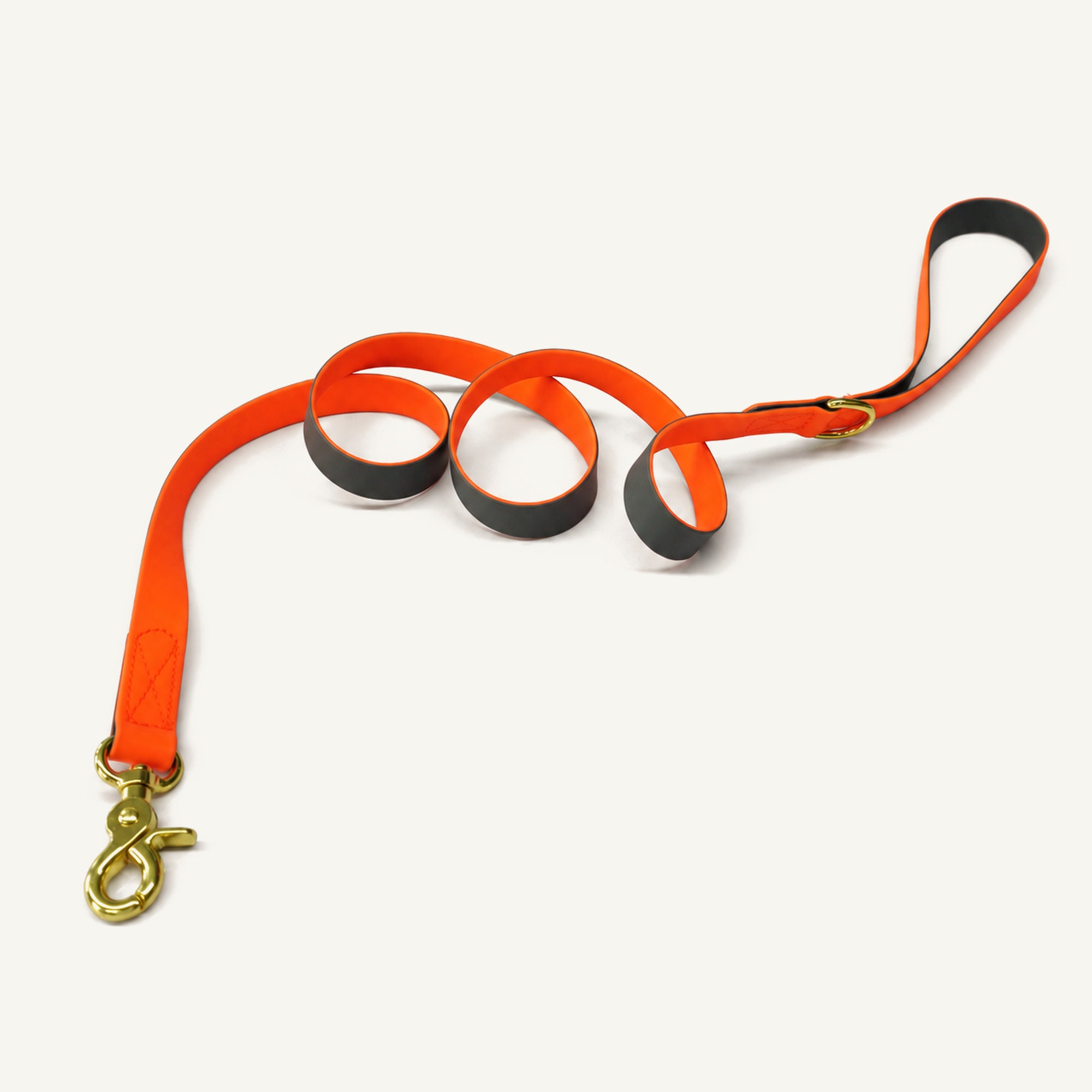 Orange Coated Webbing Dog Leash with D-Ring