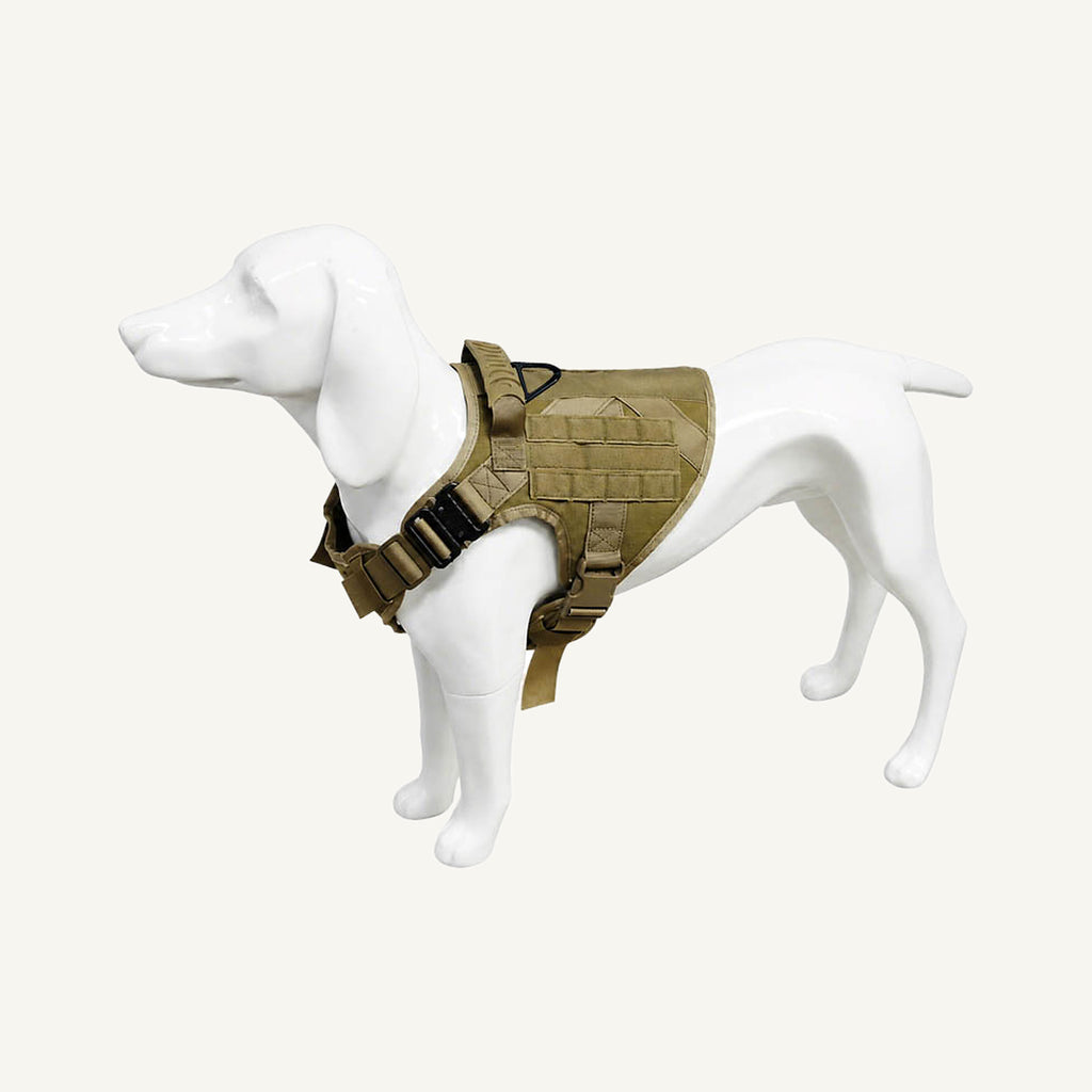 Harness Fit molle tactical dog harness set with bungee leash catalogue view for private label buyers