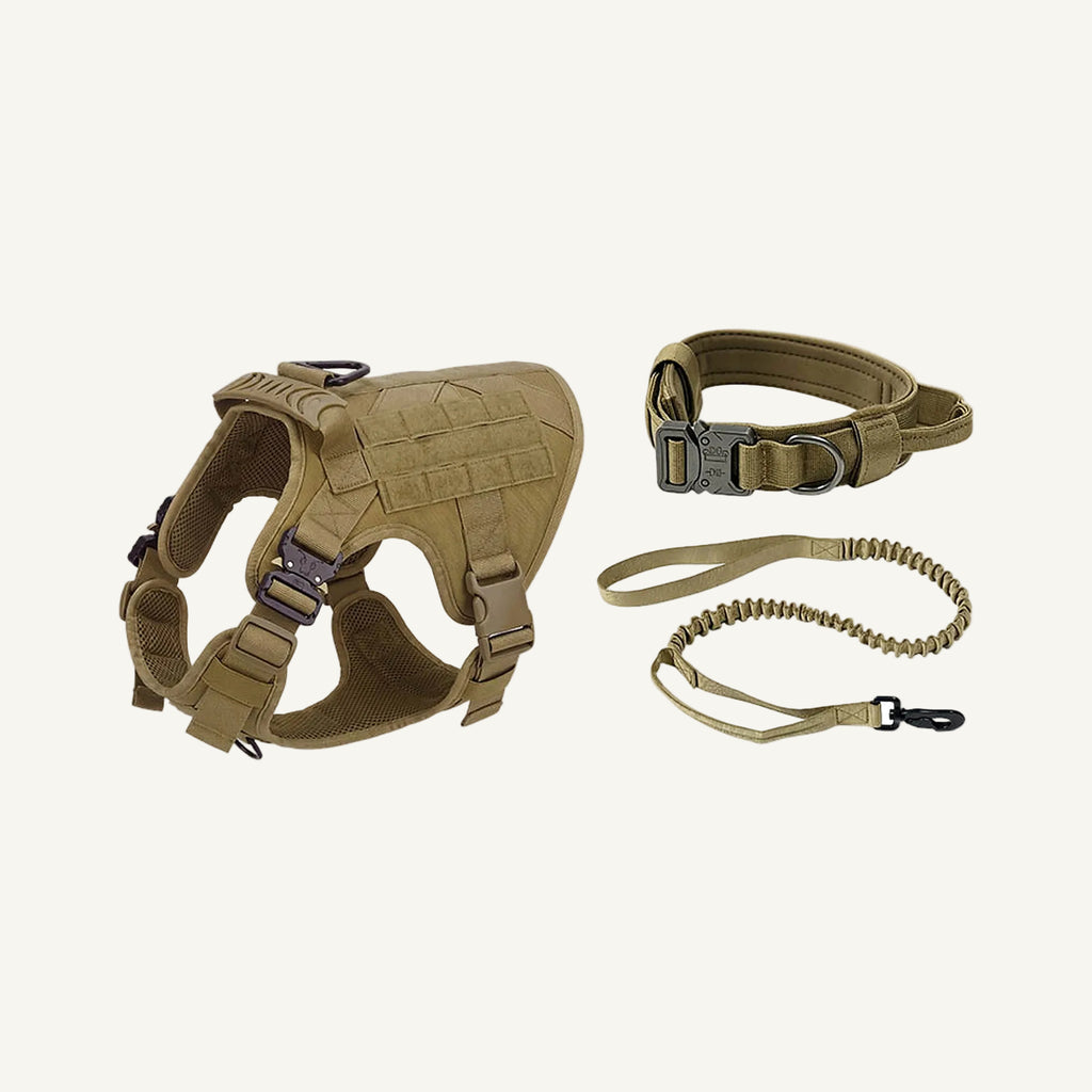 Khaki Set molle tactical dog harness set with bungee leash catalogue view for private label buyers