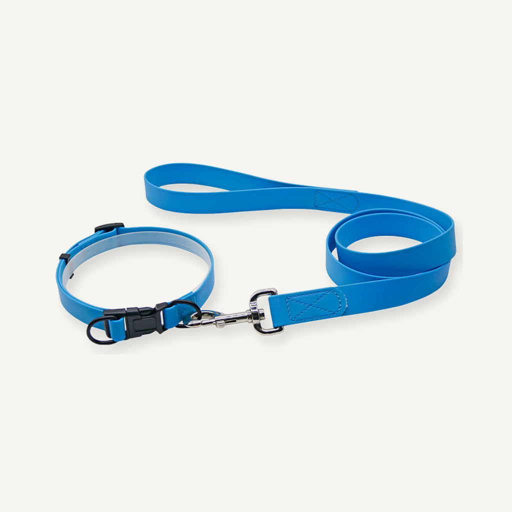 Light blue padded PVC dog collar leash set showing collar and loop handle