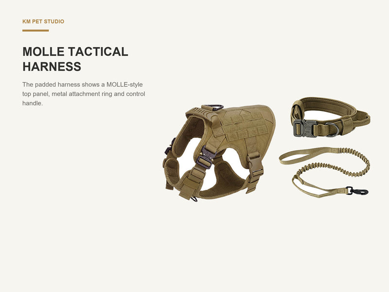 MOLLE Tactical Harness detail on molle tactical dog harness set with bungee leash for wholesale buyers