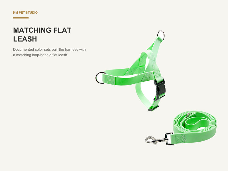 Matching Flat Leash detail on pvc strap dog harness and leash set for wholesale buyers