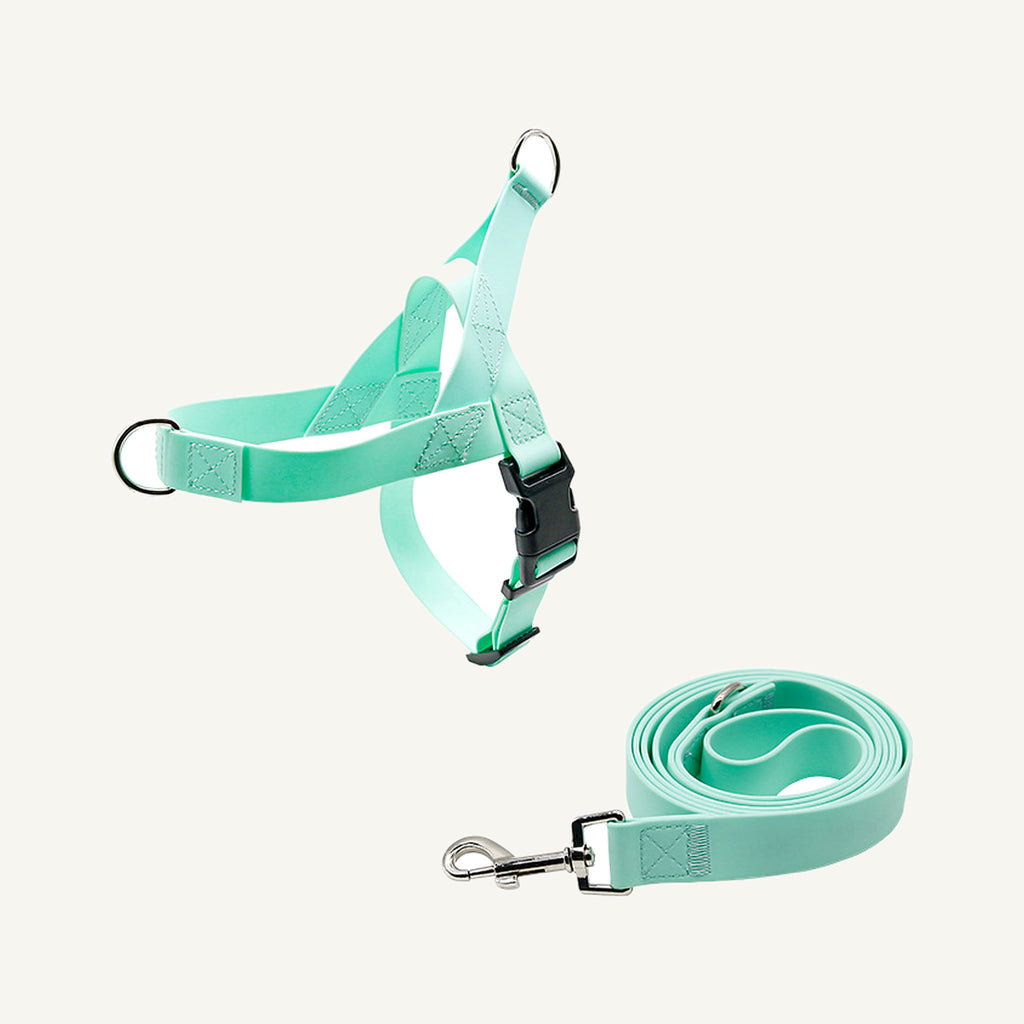 Mint pvc strap dog harness and leash set catalogue view for private label buyers