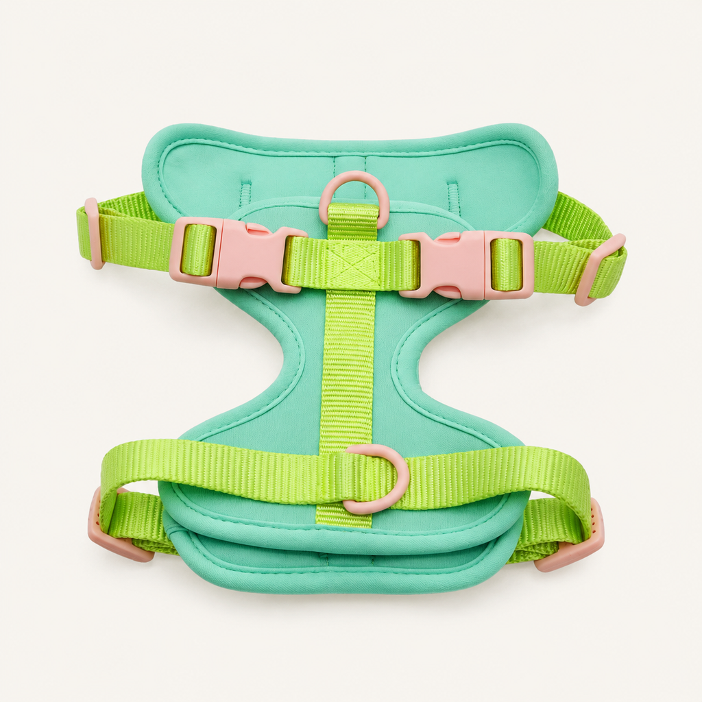 Soft Padded Adjustable Dog Harness