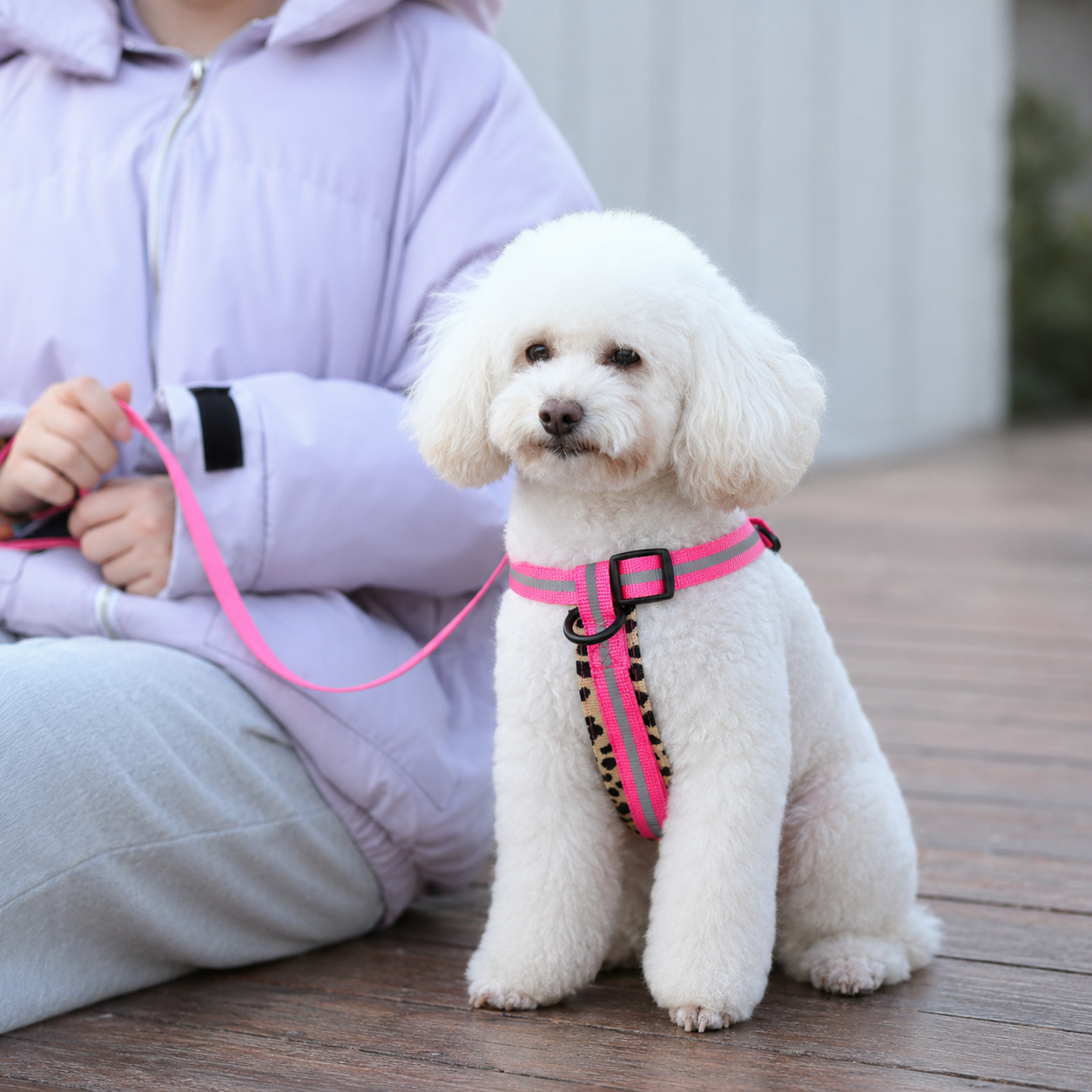 Figure-8 Reflective Small Dog Harness