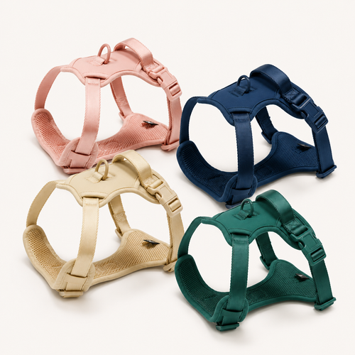 Breathable Vest Type Dog Harness
