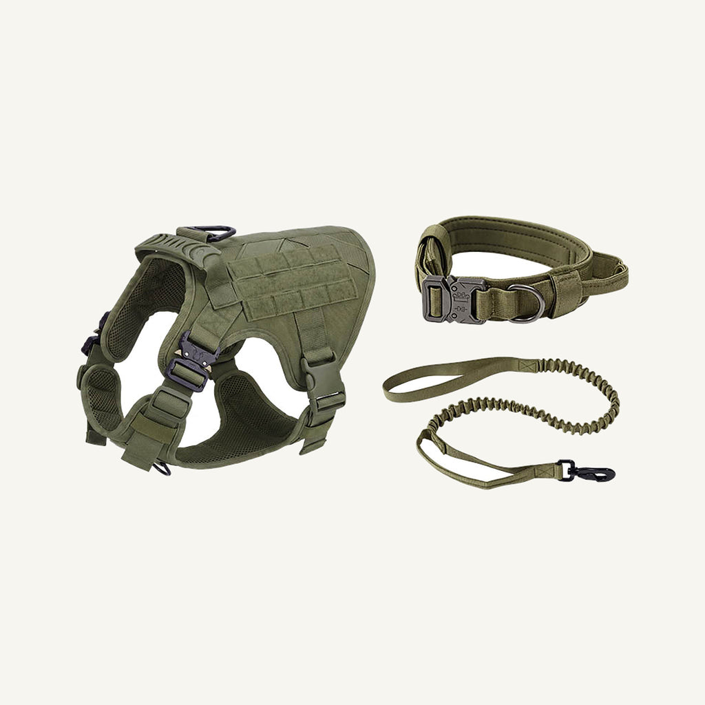 Olive Set molle tactical dog harness set with bungee leash catalogue view for private label buyers