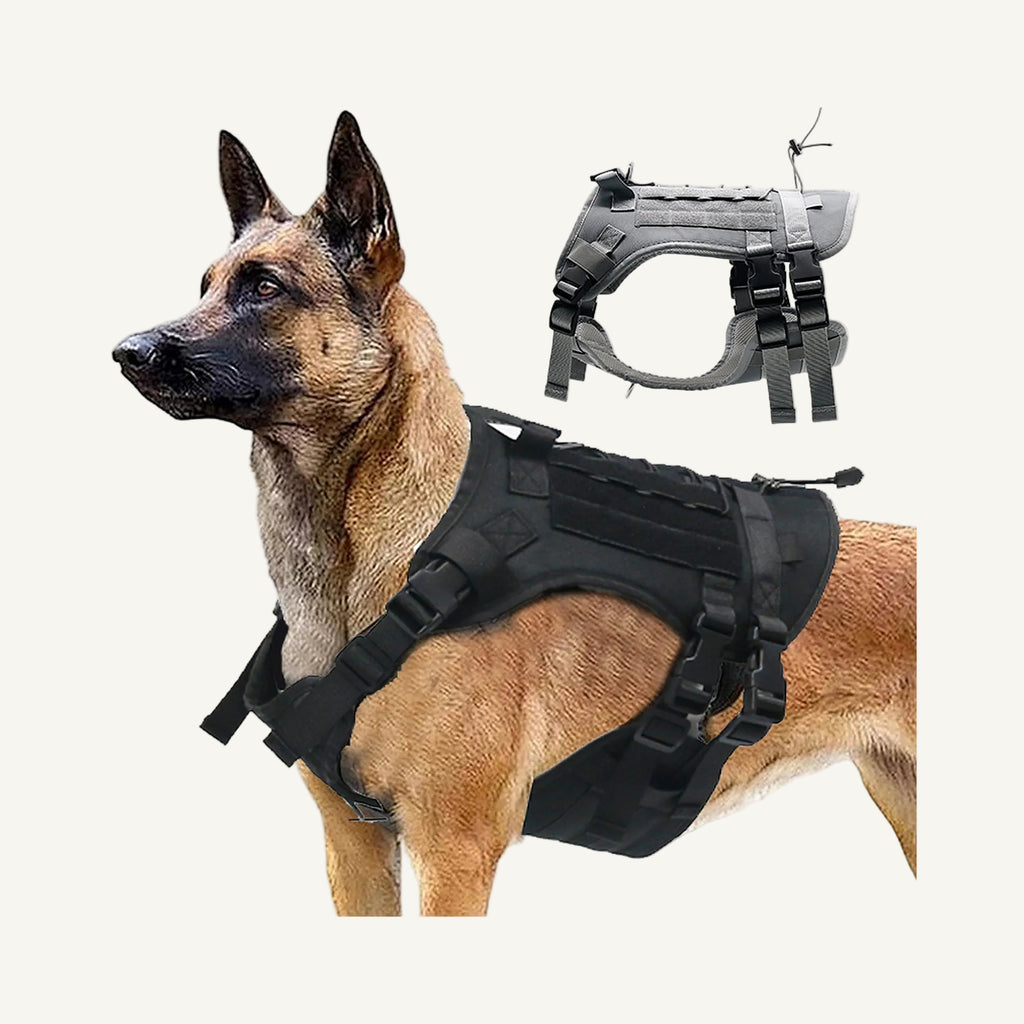 On Dog tactical padded dog harness with molle panel catalogue view for private label buyers