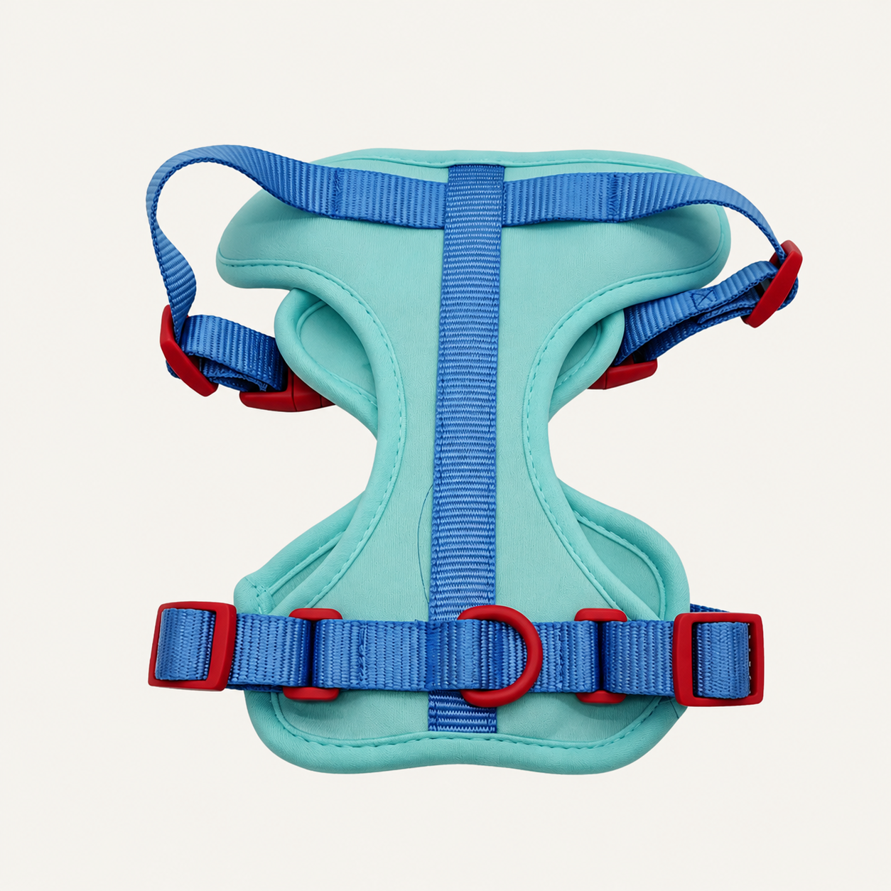 Aqua Contrast Dual-Attachment Dog Harness