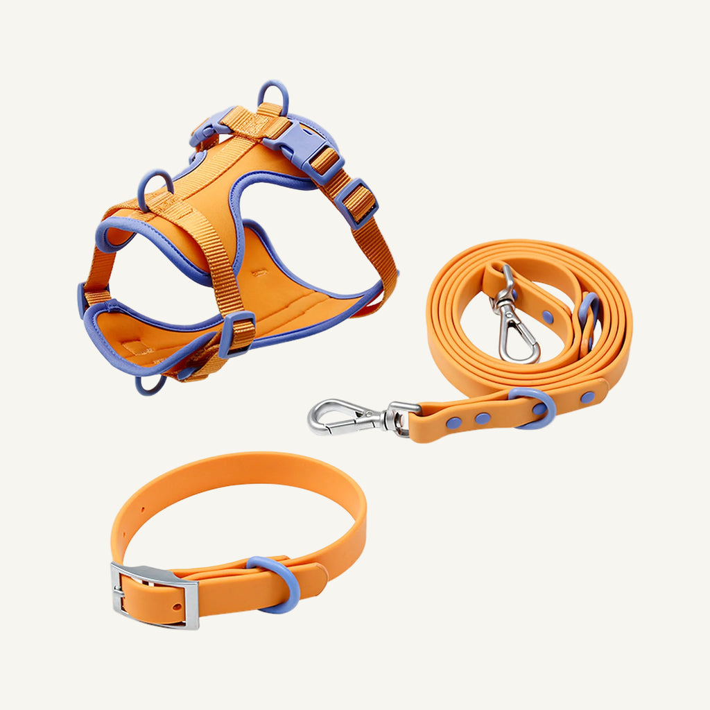 Orange Blue two tone dog harness collar and leash set catalogue view for private label buyers