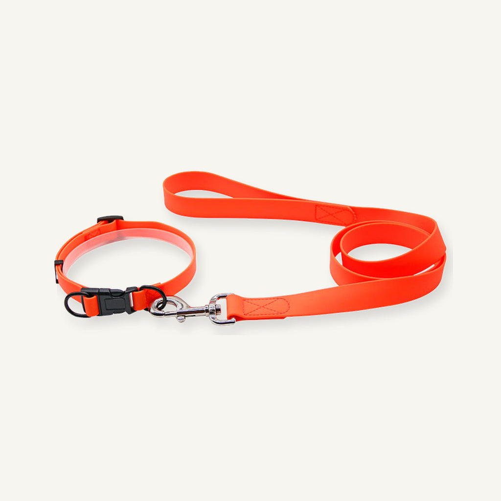 Orange padded PVC dog collar leash set showing coordinated lead and buckle construction