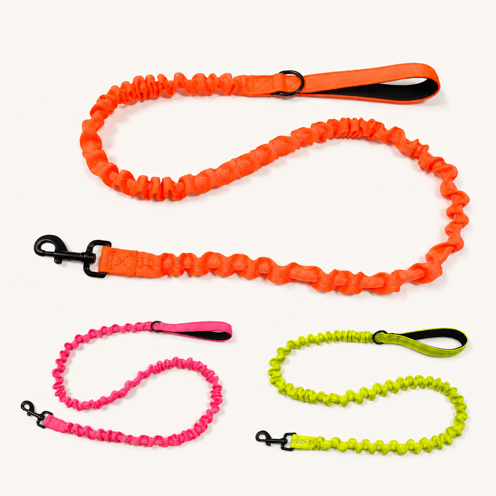 Shock Absorbing Reflective Elastic Dog Leash