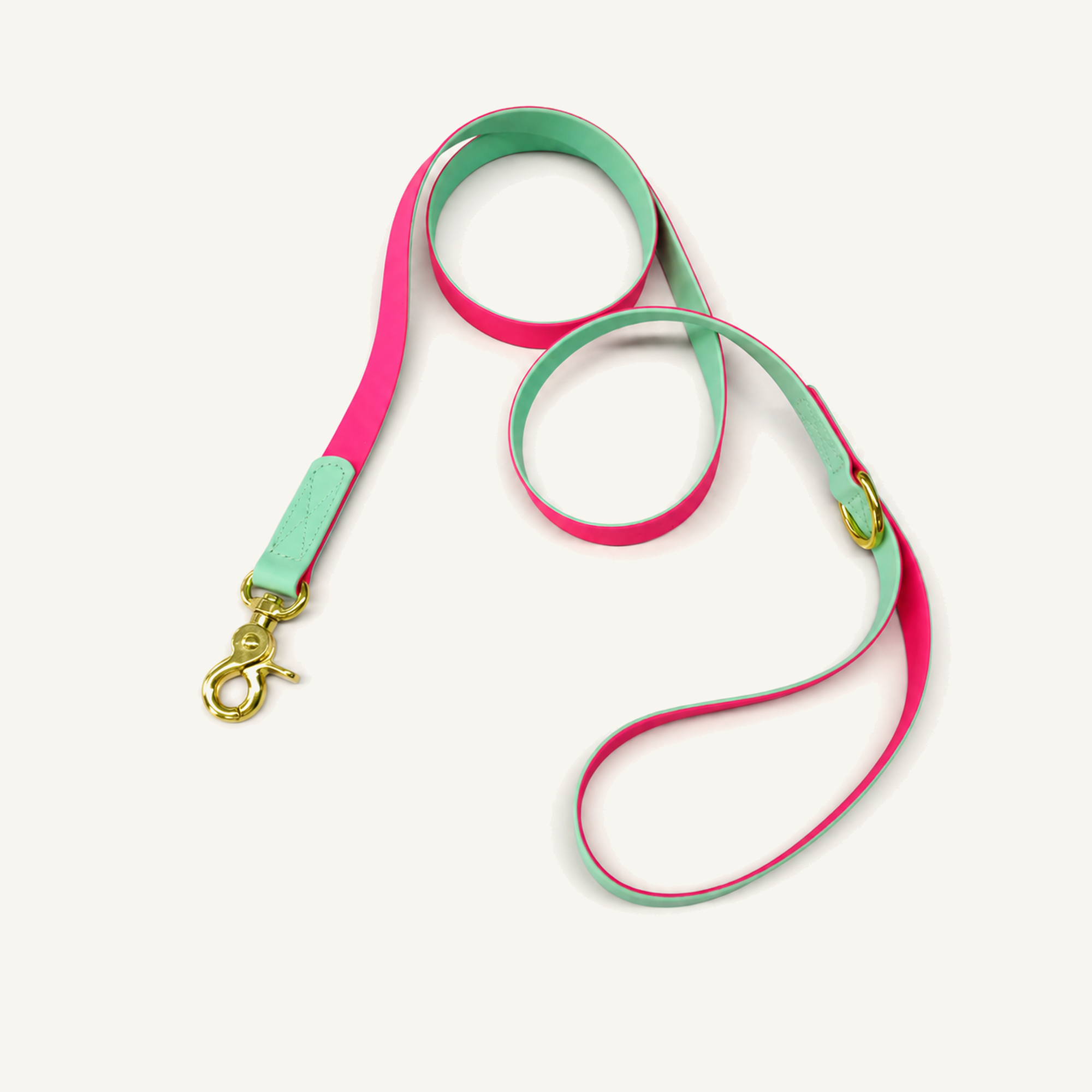 Two-Tone PVC-Coated Dog Leash with Gold-Tone Hardware