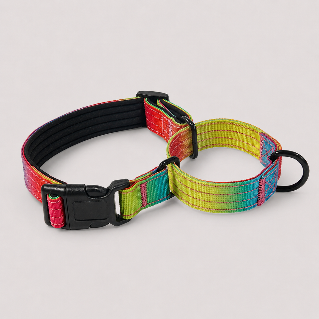 P-Chain Anti-Lunge Dog Collar with Neoprene Padding