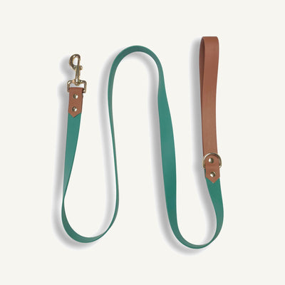 PVC Color Block Waterproof Dog Leash with Metal Clip