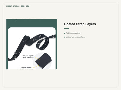 PVC gold hardware collar leash set detail highlighting coated strap layer construction