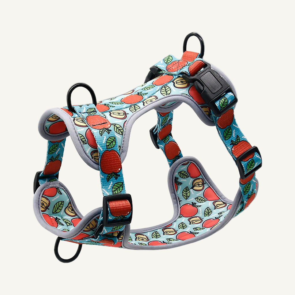 Pattern A7 printed neoprene no pull dog harness catalogue view for private label buyers