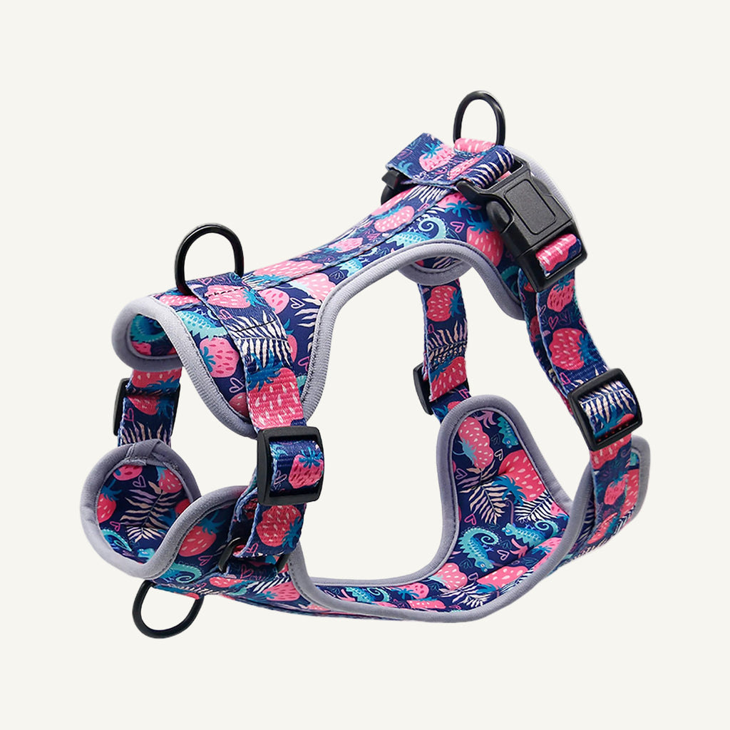 Pattern D4 printed neoprene no pull dog harness catalogue view for private label buyers