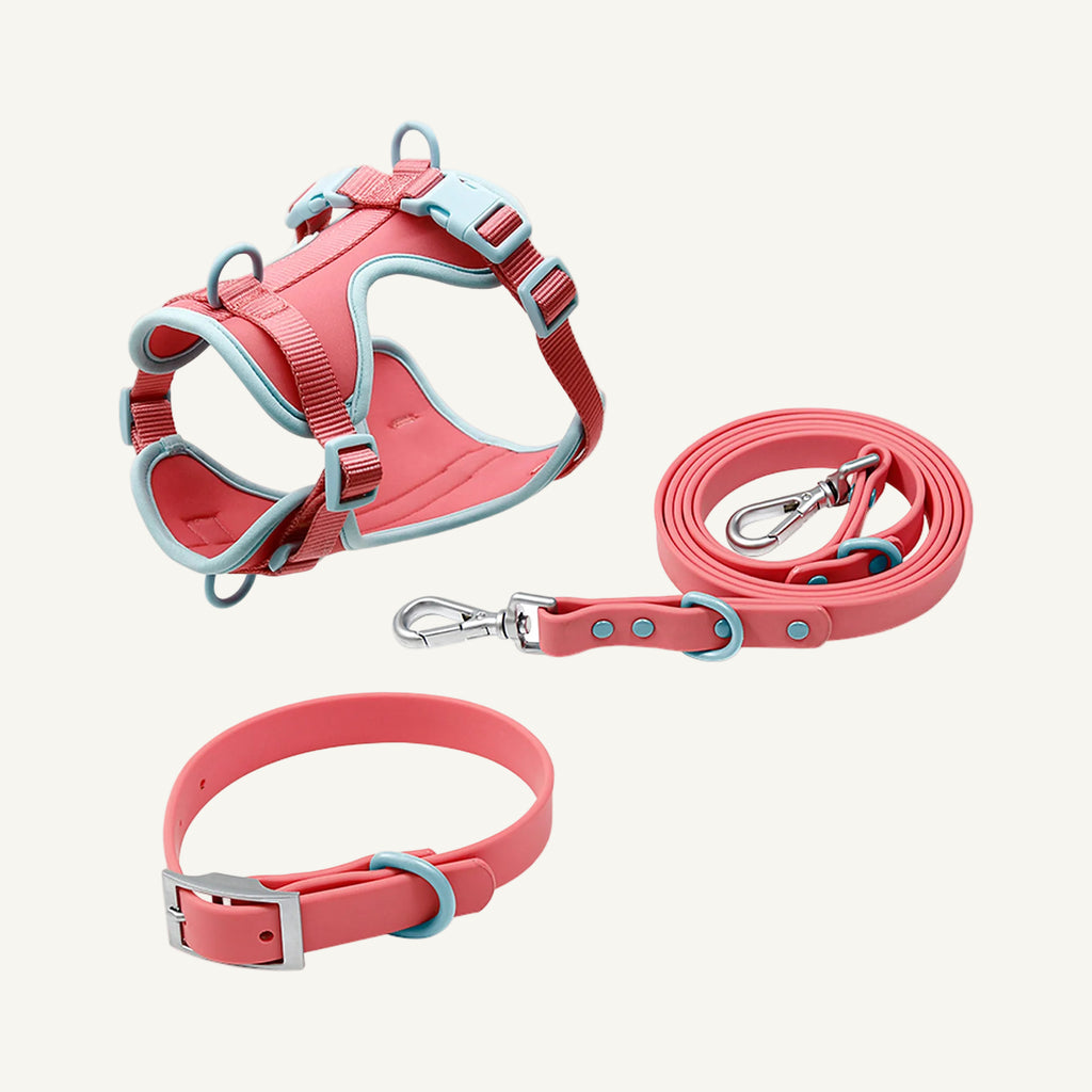 Pink Light Blue two tone dog harness collar and leash set catalogue view for private label buyers