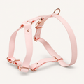 Waterproof PVC Dog Harness with Rose Gold Hardware