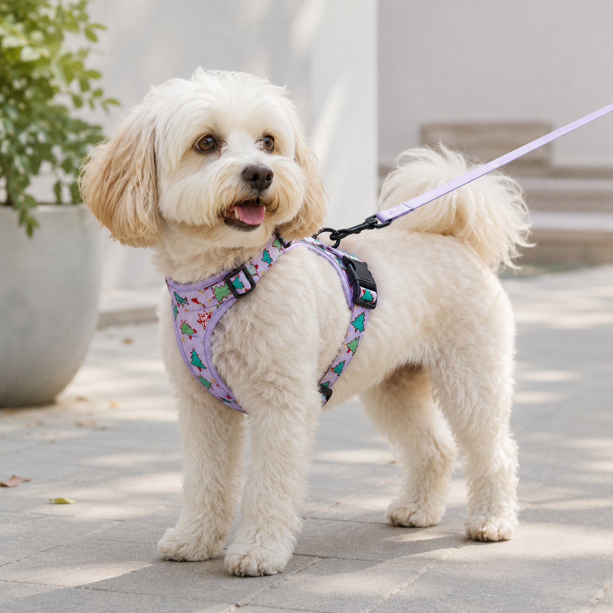 Christmas Print Reflective Dog Harness