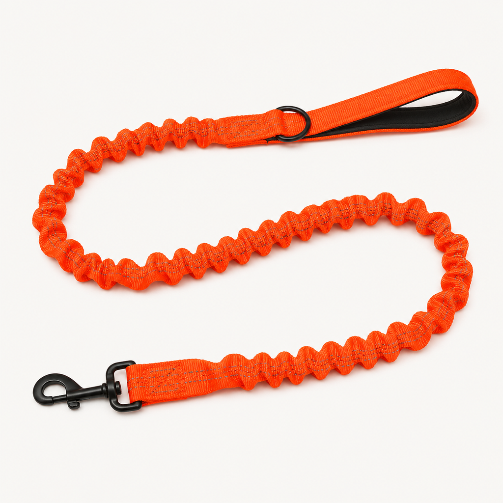 Shock Absorbing Reflective Elastic Dog Leash