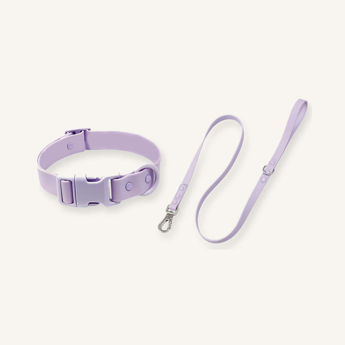 Purple PVC dog collar and leash set showing adjustable collar and loop handle