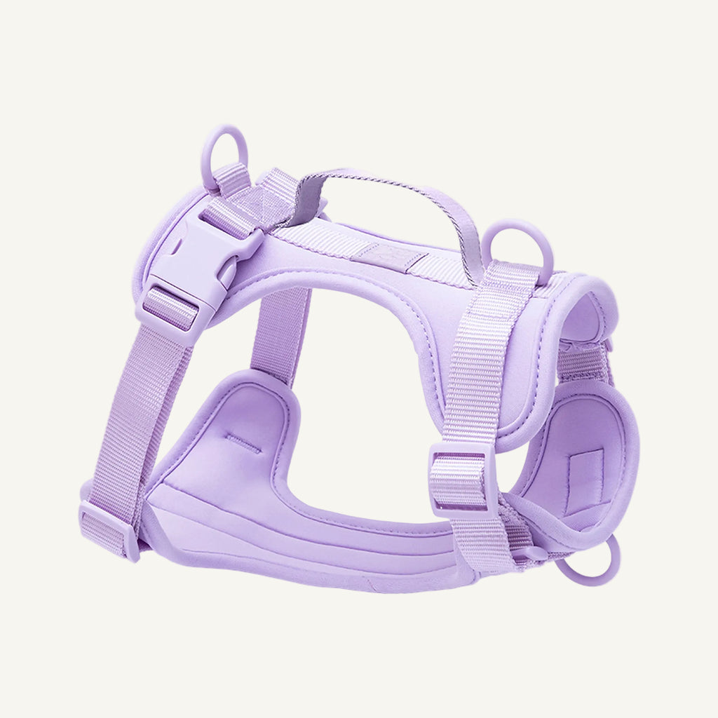 Purple padded no pull dog harness with control handle catalogue view for private label buyers
