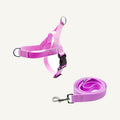 Purple pvc strap dog harness and leash set catalogue view for private label buyers
