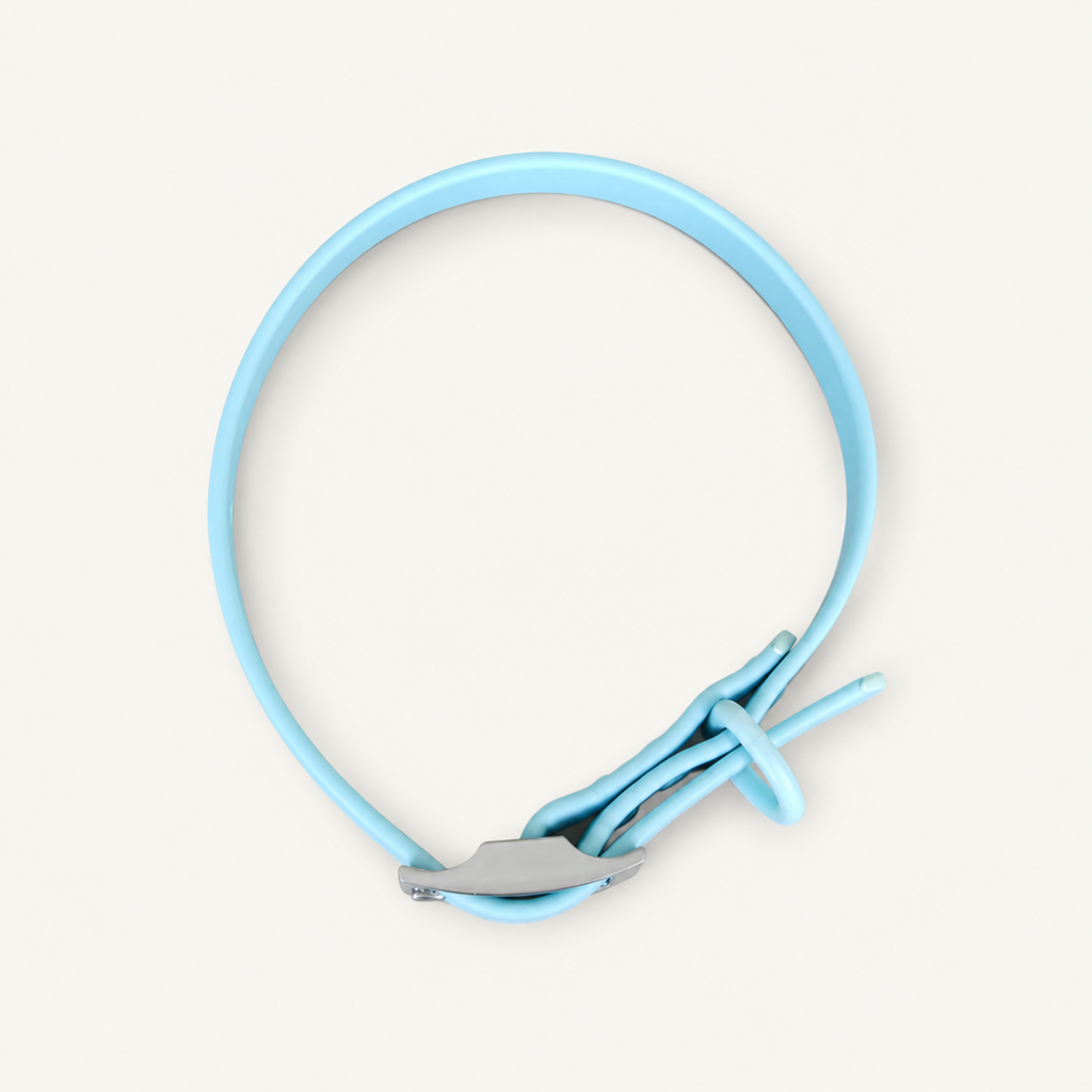 Turquoise PVC Dog Collar with Zinc Alloy Fittings
