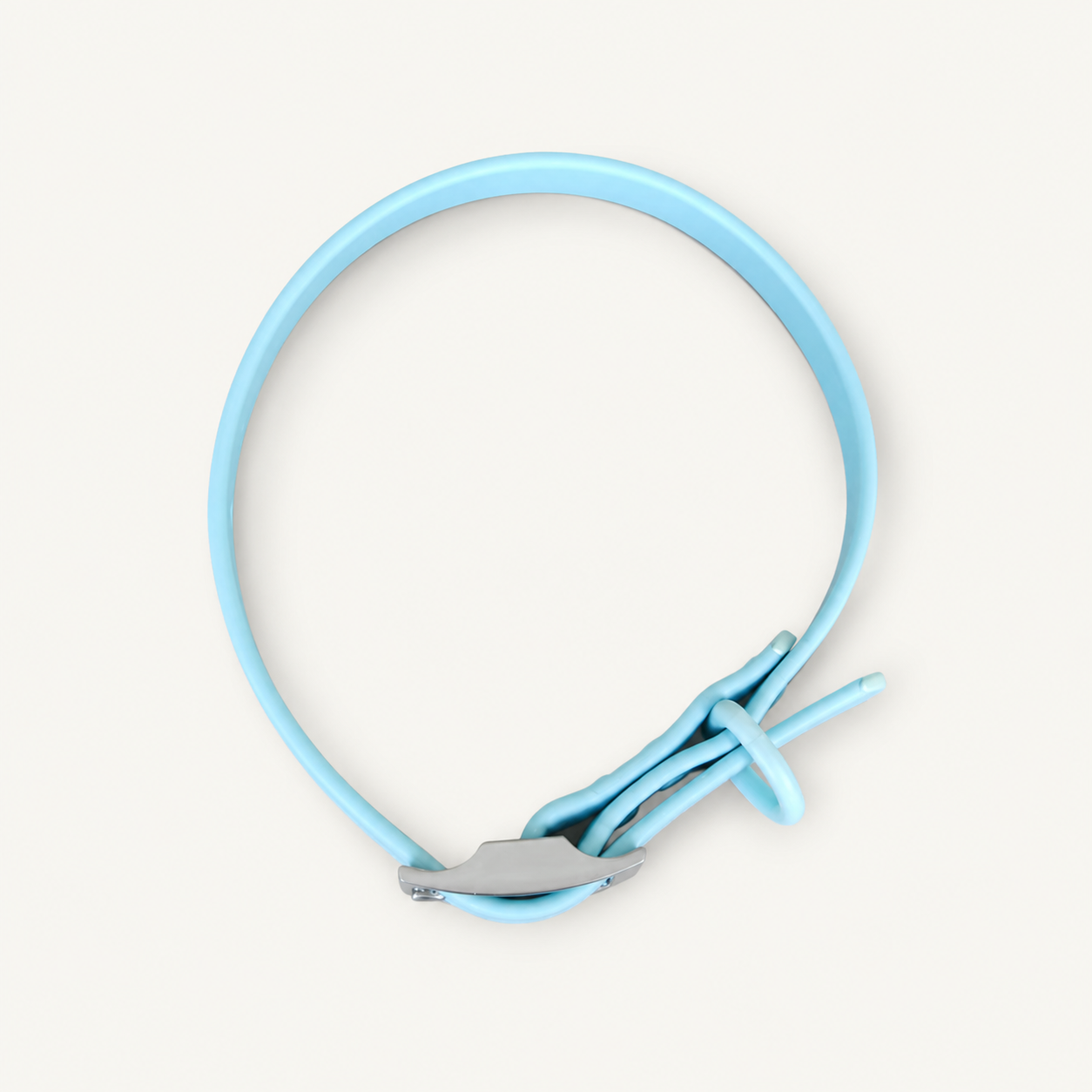 Turquoise PVC Dog Collar with Zinc Alloy Fittings
