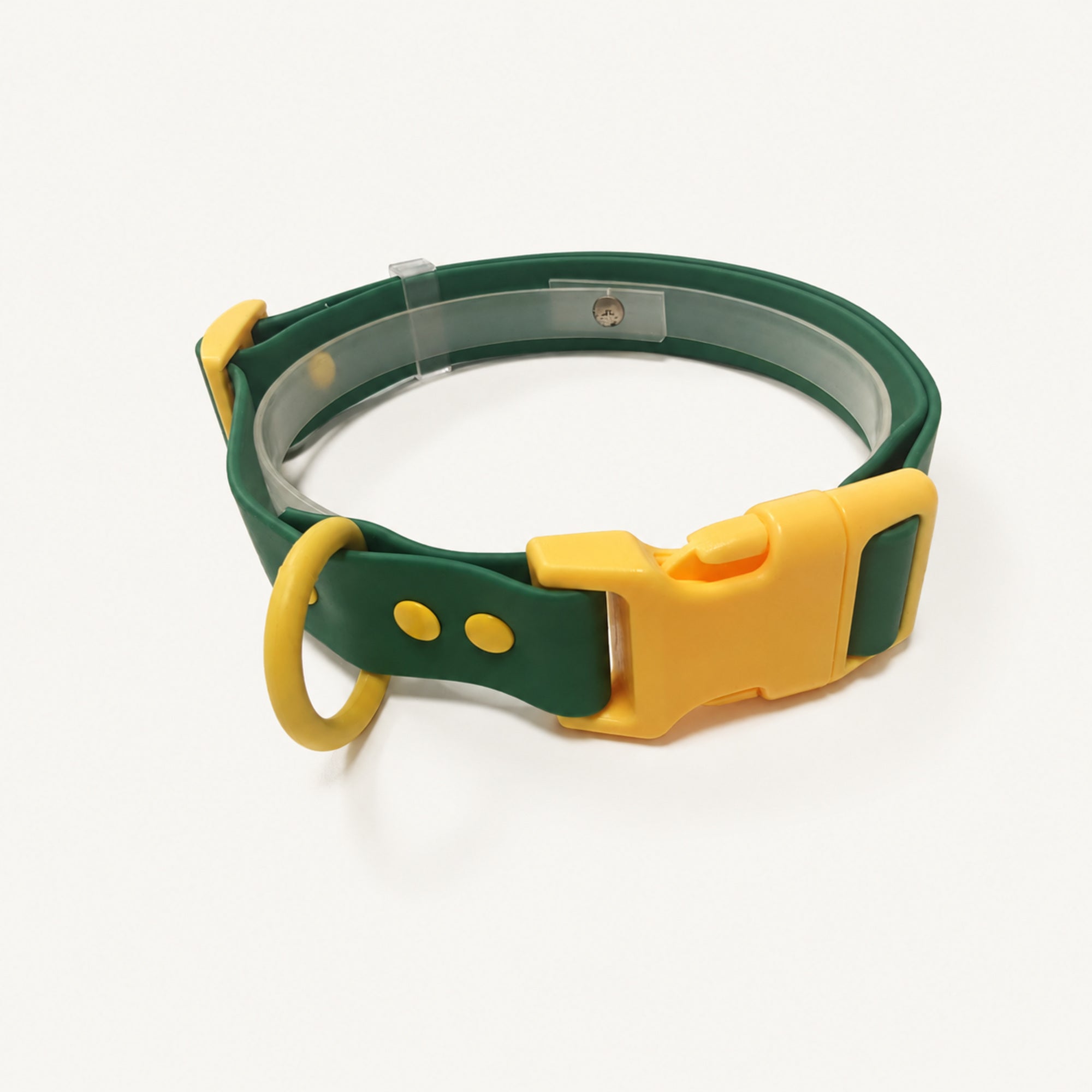 Custom Coated Dog Collar with Contrast Buckle