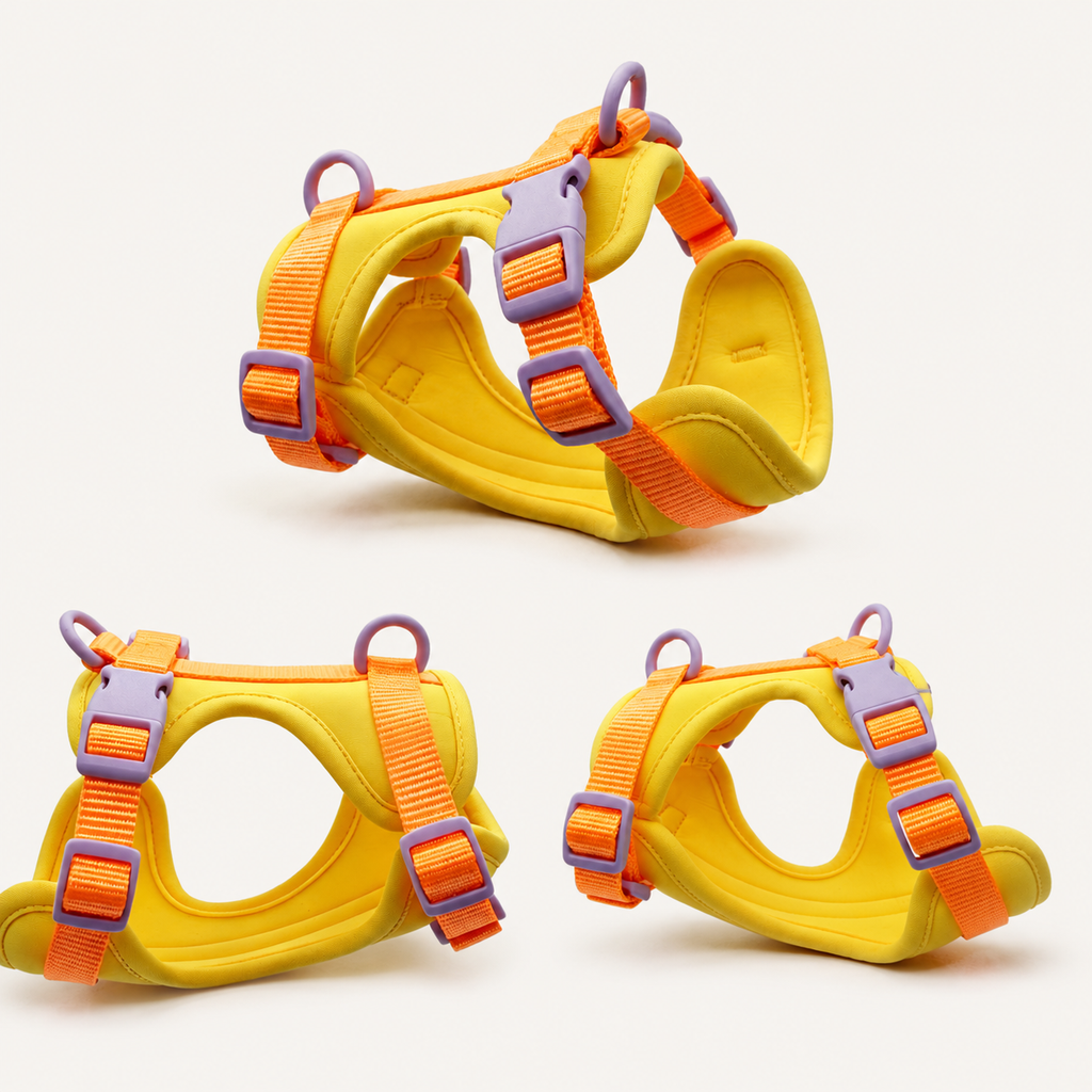 Colorblock Padded Dual-Attachment Dog Harness
