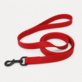 Solid Color PVC Webbing Dog Leash