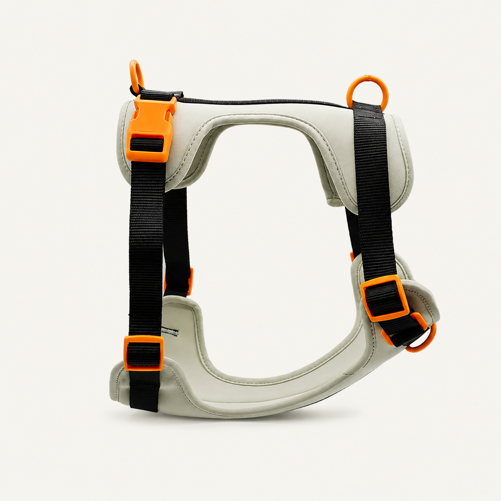 Multi-Point Padded Control Dog Harness