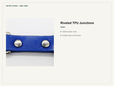 TPU double dog leash coupler detail showing reinforced riveted branch construction
