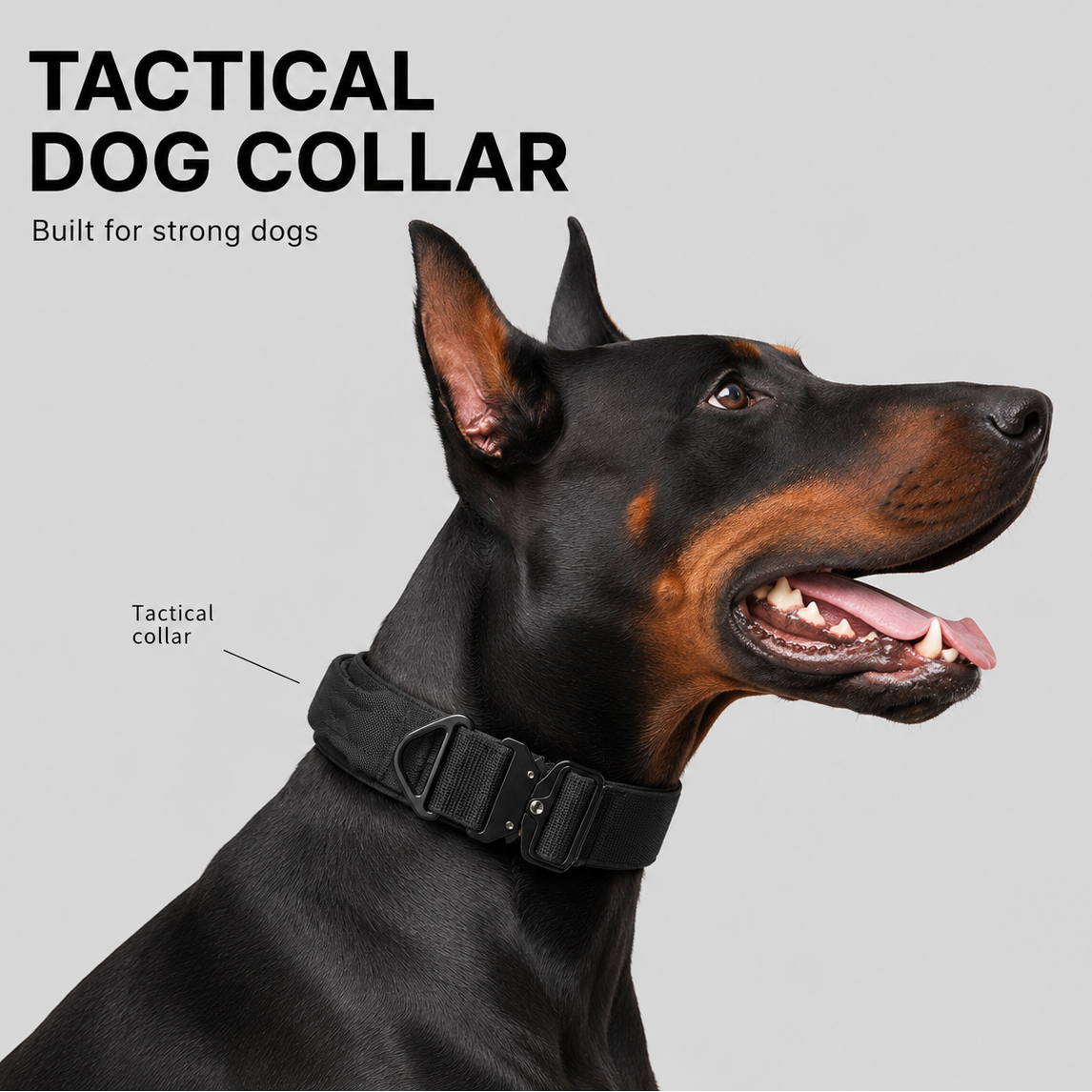Heavy Duty Tactical Dog Collar with Handle and Metal Quick Release Buckle