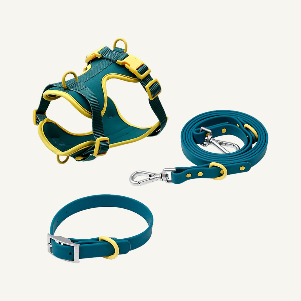 Teal Yellow two tone dog harness collar and leash set catalogue view for private label buyers