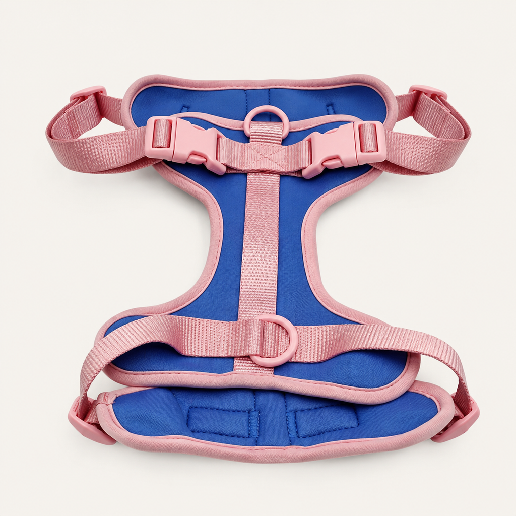 Blush-Trim Padded Dual-Attachment Dog Harness